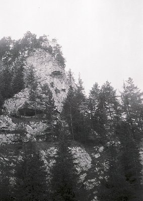 Misty alpine ridge with jagged rock formations and dense coniferous forest. Fog obscures midground, emphasizing rugged terrai...
