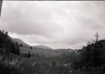 Black-and-white landscape shot of a winding mountain road flanked by dense coniferous forests. Rolling hills and misty valley...