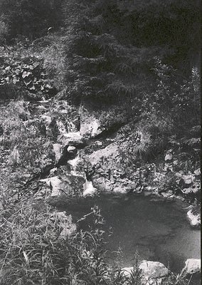 Black-and-white shot of a rocky riverbed with shallow, meandering water. Exposed stones and sparse vegetation frame the strea...