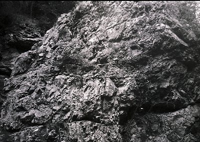 High-contrast black-and-white close-up of rugged, layered rock formations resembling human facial contours. Texture suggests ...