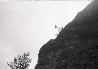 Black-and-white shot of rugged alpine rock face with sparse vegetation. Dramatic vertical lines emphasize scale and isolation...
