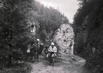 Mid-20th century hikers pause on a rugged forest trail, surrounded by dense conifers and rocky outcrops. One sits on a rock, ...