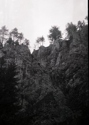 Dramatic black-and-white cliffside with sparse pine trees clinging to jagged rock formations under overcast skies. Likely a E...