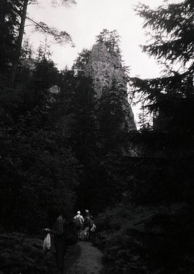 Black-and-white mountain trail scene with three hikers ascending a rocky path flanked by dense coniferous forest. Dramatic ro...
