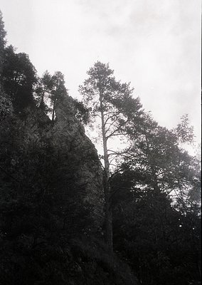 Monochrome landscape featuring rugged rock formations and dense coniferous forest. Dramatic vertical composition highlights a...