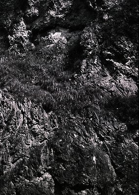 High-contrast close-up of weathered, textured stone wall with intricate erosion patterns. Likely limestone or sandstone, show...
