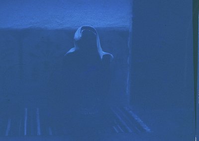 Silhouette of a person standing in a dimly lit interior, back to camera, with blurred vertical lines (likely curtains) framin...