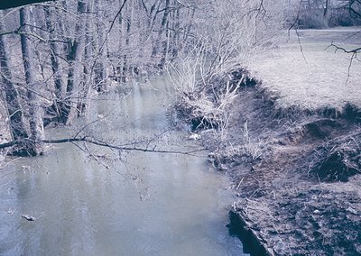 Frozen riverbank with partially thawed ice patches and skeletal winter trees. Monochrome, high-contrast vintage aesthetic sug...