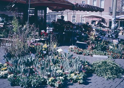 Vibrant 1970s European street market with flower stalls under striped awnings. Arranged blooms—tulips, roses, and potted plan...