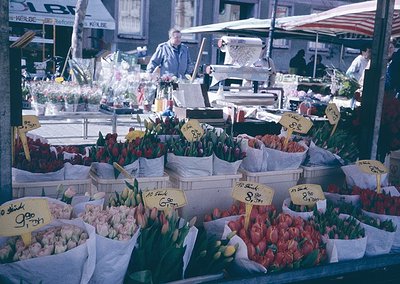 Vibrant 1960s outdoor flower market stall with tulips, roses, and carnations priced in German marks. Signs indicate "Reform" ...