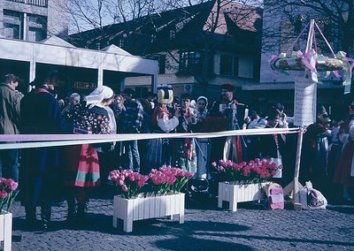 Vintage street festival featuring traditional costumes and floral displays. Crowd gathers around a stage with tulips in white...