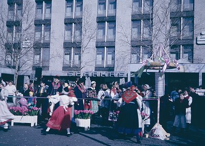 Vibrant street parade featuring traditional folk dancers in colorful, embroidered costumes, likely Eastern European. Barrels ...
