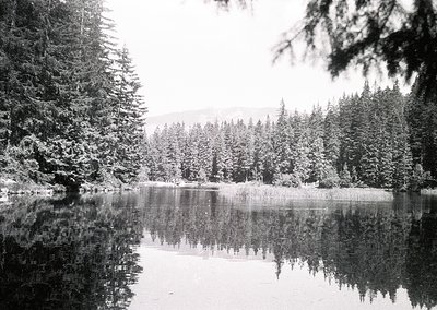 Black-and-white winter landscape featuring a serene, snow-laden lake surrounded by dense coniferous forest. Perfect mirror re...
