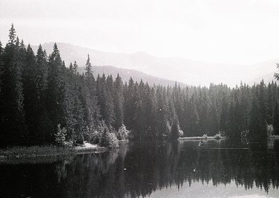 Black-and-white landscape of a serene alpine lake surrounded by dense coniferous forest. Snow-capped peaks rise in the misty ...