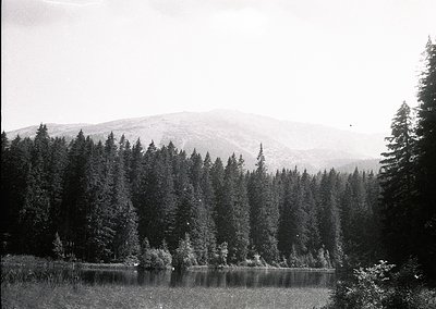 Dense coniferous forest framing a serene, reflective lake with misty mountain peaks in background. Classic mid-20th century b...