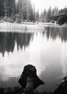 Snow-dusted evergreen forest reflected in a serene, still lake with a partially submerged rock in foreground. Monochrome comp...