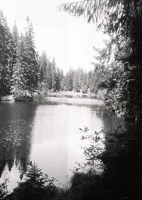 Black-and-white forest lake scene with dense coniferous trees framing a calm, reflective water surface. Snow dusts branches, ...