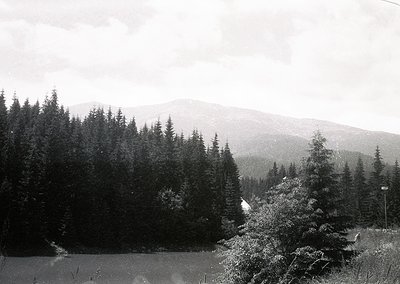 Black-and-white landscape featuring dense coniferous forest framing a serene lake, with misty mountain peaks in the backgroun...
