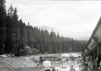 Mid-20th century alpine resort scene with dense coniferous forest and mountain backdrop. Wooden bridge and stone pathway lead...