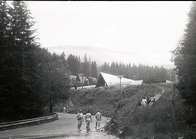 Black-and-white alpine roadside scene with dense coniferous forest and misty mountains in background. Three hikers in mid-20t...