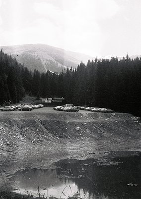 Vintage alpine roadside rest stop with vintage cars parked in a gravel lot, surrounded by dense coniferous forest. Small sign...