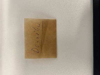 Handwritten label on kraft paper with "Denshi" (Japanese for "electric") and partial vertical line. Minimalist, utilitarian d...