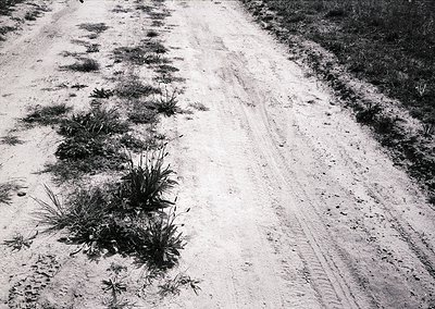 Rutted dirt road flanked by sparse vegetation, likely coastal or arid terrain. High-contrast black-and-white composition sugg...