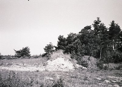 Abandoned concrete bunker half-buried in overgrown grass, surrounded by dense forest. Likely Cold War-era military structure.
