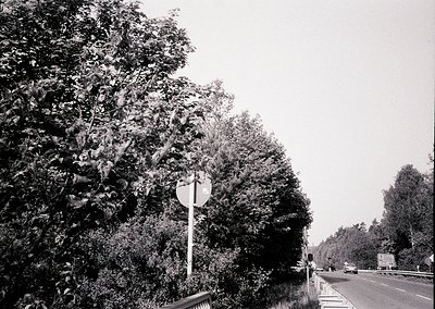 Black-and-white roadside scene featuring dense foliage framing a two-lane highway. Circular road sign with arrow pointing lef...