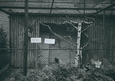 Black-and-white photo of a gated enclosure with two signs reading "No Entry" and "Private Property." Chain-link fence and bar...