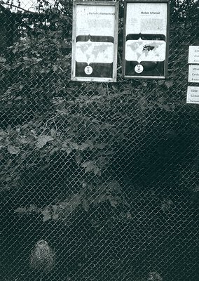 Black-and-white signage mounted on chain-link fence, featuring botanical labels in Cyrillic script. Text includes "Елаха, диа...