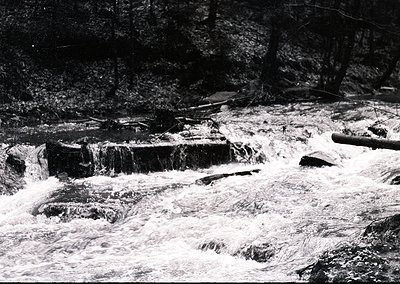 Black-and-white shot of a cascading waterfall with concrete steps guiding flow through a forested ravine. Vegetation frames b...