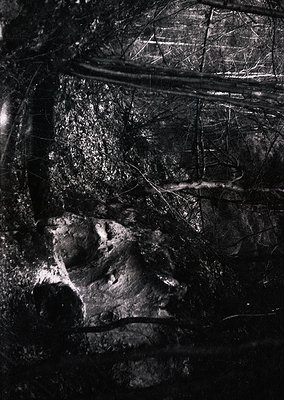 High-contrast black-and-white close-up of a weathered, textured stone surface with intricate carvings resembling a reclining ...