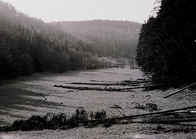 Black-and-white landscape showing a snow-covered rural road flanked by leafless trees and dense forest. Light mist obscures d...