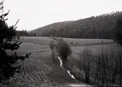 Rural landscape featuring rolling hills, sparse trees, and a winding dirt path. Black-and-white vintage photograph likely fro...