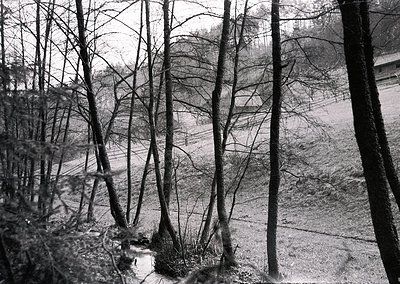 Barren winter forest with skeletal trees framing a misty valley. Black-and-white vintage photograph captures stark branches a...