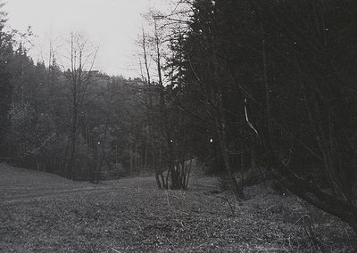 Black-and-white rural scene featuring dense forest with sparse undergrowth, likely late autumn/winter. A lone, partially obsc...