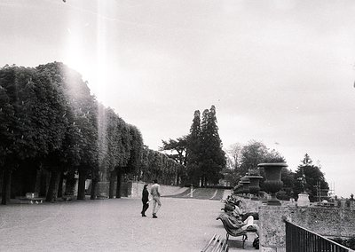 Black-and-white shot of a grand park avenue lined with mature trees and classical stone fountains. Two figures—one walking, o...