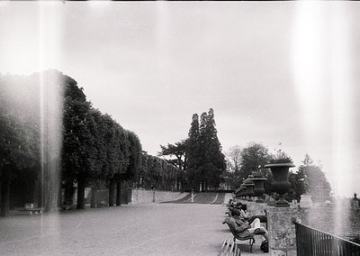 Black-and-white shot of a grand park avenue lined with symmetrical trees and classical urn planters. A lone figure sits on a ...