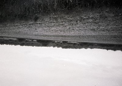 Close-up of a concrete waterfront edge with visible erosion and cracks, likely a dock or pier. The texture reveals rough conc...
