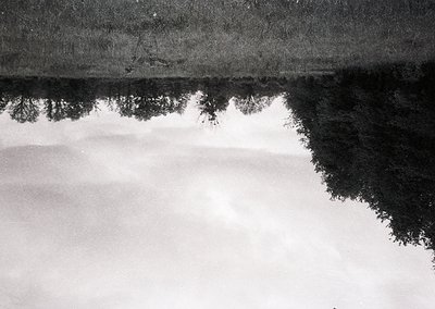 Monochrome reflection of tree branches in still water beneath an overhanging concrete ledge. Minimalist composition highlight...