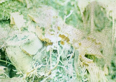 Vintage film grain overlay reveals a blurred but recognizable **1970s-era Polaroid** of a **mountain landscape** with **alpin...