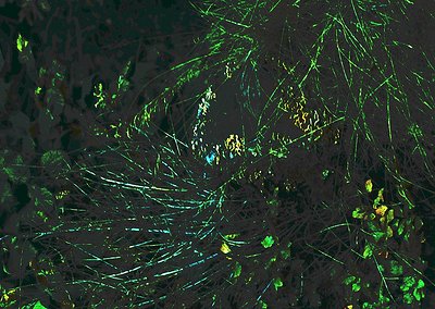 Aerial view of agricultural field with geometric crop patterns. Dark soil contrasts with bright green and blue-green striped ...