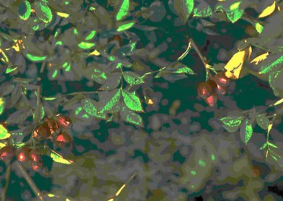 Close-up of autumn foliage with mixed green, yellow, and red leaves reflecting light. Textured surface suggests wet or transl...