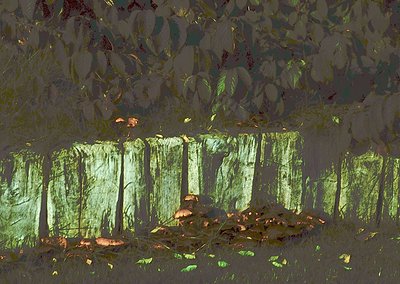 Reflections of autumn foliage mirrored in a shallow, sunlit pond. Vibrant reds, yellows, and greens contrast with the muted g...