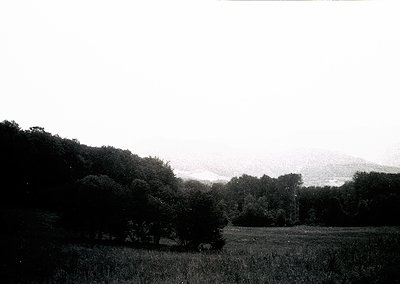 Vintage black-and-white landscape of dense forest meeting open grassland under overcast skies. Low-angle composition highligh...