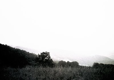 Vague monochrome landscape with misty, low-lying hills and sparse vegetation. Minimalist composition emphasizes atmospheric t...