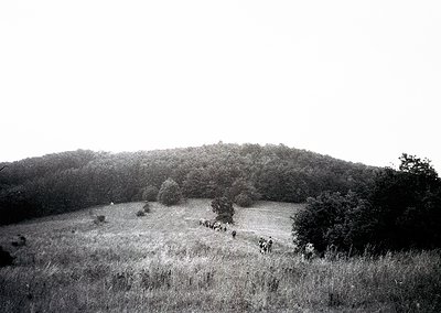 Black-and-white landscape featuring a group of 10+ individuals ascending a grassy hillside, framed by scattered trees and ope...