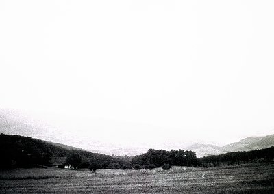 Black-and-white landscape featuring rolling hills, sparse trees, and a distant farmhouse. Low-contrast monochrome evokes mid-...