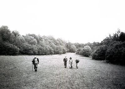 Four hikers traverse a grassy meadow flanked by dense shrubs, framed by a narrow dirt path. Mid-20th century attire suggests ...